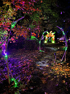 Allée féerique sous des arches colorées pendant les Nuits des Lumières à Chouzy-sur-Cisse, près de Blois.