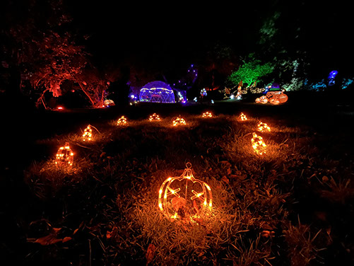 Citrouilles lumineuses jalonnant le parcours nocturne des Nuits des Lumières à F&M – Les hôtes de Chouzy.